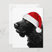 Vrolijke Cocker van Kerstmis Feestdagenkaart (Voorkant / Achterkant)