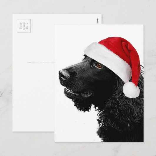 Vrolijke Cocker van Kerstmis Feestdagenkaart (Voorkant / Achterkant)