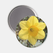 Vrolijke Daffodil Magnet (Voorkant / Achterkant)