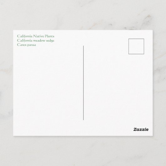 Vrolijke Dag van de Aarde! Briefkaart (Achterkant)