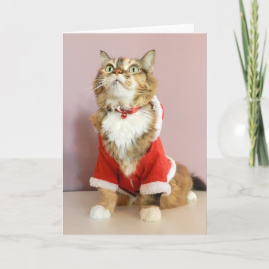 Vrolijke de kattensanta van Kerstmis puss Feestdagen Kaart (Voorkant)