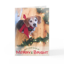 Vrolijke en Heldere Kerstmis van de Boog van de