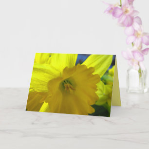 Vrolijke Gele Narcis Lente Bloemen Kaart