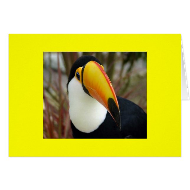 VROLIJKE GRIJNS (Voorkant Horizontaal)