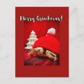 Vrolijke Grinchmas baby sulcata schildpad in een r Briefkaart (Voorkant)