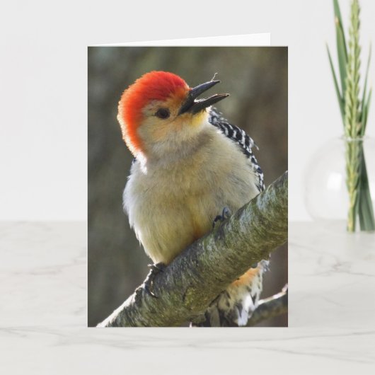 Vrolijke groet kaart (Voorkant)