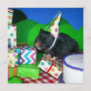 Vrolijke Hamster Birthday! Kaart