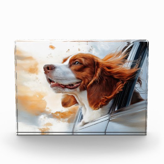Vrolijke Hond in de Wind Kunstprint Fotoblokken (Voorkant)
