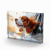 Vrolijke Hond in de Wind Kunstprint Fotoblokken (Rechts)