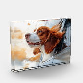 Vrolijke Hond in de Wind Kunstprint Fotoblokken (Links)