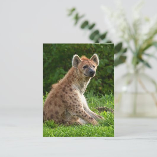 Vrolijke hyena te midden van groen briefkaart (Staand voorkant)
