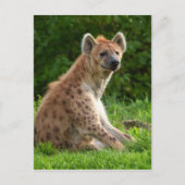Vrolijke hyena te midden van groen briefkaart (Voorkant)