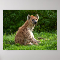 Vrolijke hyena te midden van groen