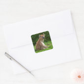 Vrolijke hyena te midden van groen vierkante sticker (Envelop)