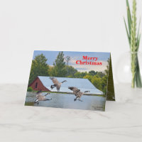 Vrolijke kerst Canada ganzen landing op de vijver