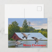 Vrolijke kerst Canada ganzen landing op de vijver Feestdagenkaart (Voorkant / Achterkant)