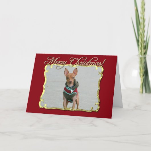 Vrolijke kerst Chihuahua hond Feestdagen Kaart (Voorkant)
