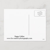 Vrolijke kerst eekhoorn feestdagenkaart (Achterkant)