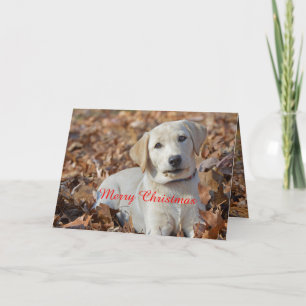 Vrolijke Kerst Gele Labrador Retriever Feestdagen Kaart