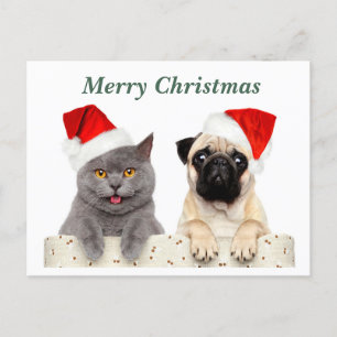 Vrolijke kerst kat en mopshond feestdagenkaart