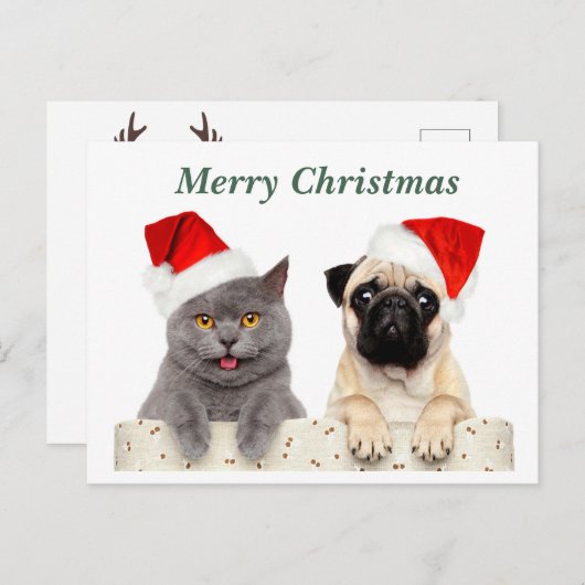 Vrolijke kerst kat en mopshond feestdagenkaart (Voorkant / Achterkant)