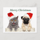 Vrolijke kerst kat en mopshond feestdagenkaart (Voorkant)