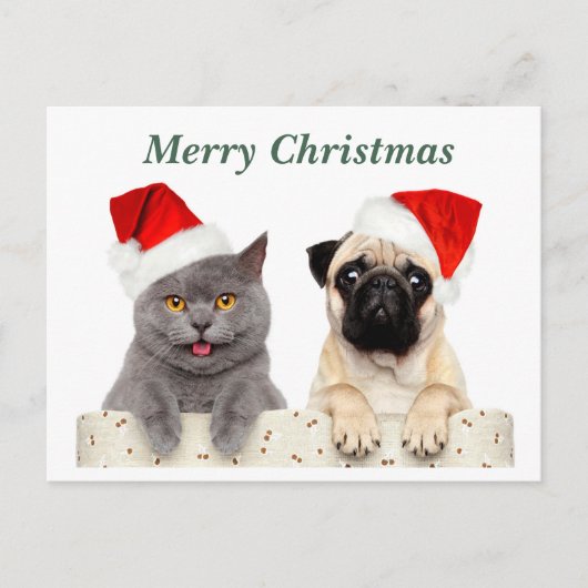Vrolijke kerst kat en mopshond feestdagenkaart (Voorkant)