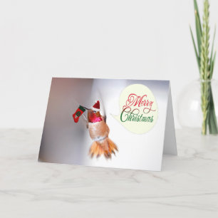 Vrolijke kerst kolibrie met kerstkous feestdagen kaart