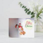 Vrolijke kerst kolibrie met kerstkous feestdagenkaart (Staand voorkant)