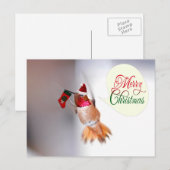 Vrolijke kerst kolibrie met kerstkous feestdagenkaart (Voorkant / Achterkant)