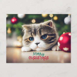 Vrolijke Kerst Leuke Kat met Blauwe Ogen Feestdagenkaart