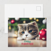Vrolijke Kerst Leuke Kat met Blauwe Ogen Feestdagenkaart (Voorkant / Achterkant)