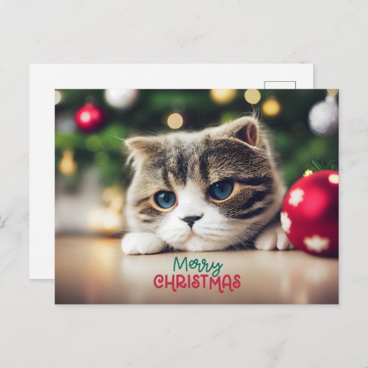 Vrolijke Kerst Leuke Kat met Blauwe Ogen Feestdagenkaart (Voorkant / Achterkant)