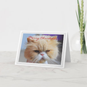 Vrolijke Kerst Perzische Kat Humor Feestdagen Kaart