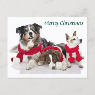 Vrolijke kerst pups feestdagenkaart