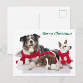 Vrolijke kerst pups feestdagenkaart (Voorkant / Achterkant)