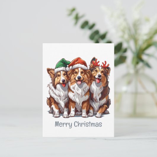 Vrolijke kerst Shetland Sheepdogs Briefkaart (Staand voorkant)