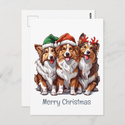 Vrolijke kerst Shetland Sheepdogs Briefkaart (Voorkant / Achterkant)