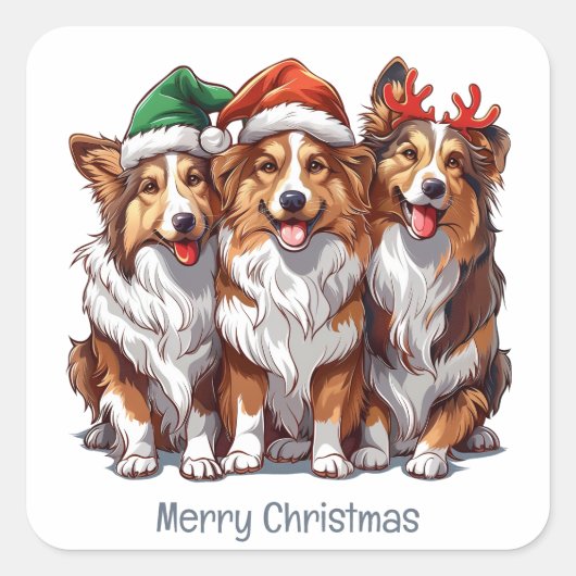 Vrolijke kerst Shetland Sheepdogs Vierkante Sticker (Voorkant)