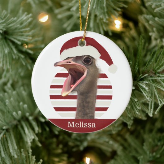 Vrolijke kerst struisvogel met kerstmuts keramisch ornament (Boom)
