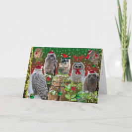 Vrolijke kerst uilen met een beetje wasbeer feestdagen kaart