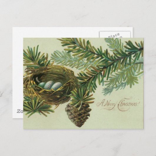 Vrolijke kerst vogel eieren feestdagenkaart (Voorkant / Achterkant)