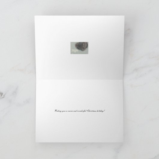 Vrolijke kerstgroet - Slapend Kat - Dromen Feestdagen Kaart (Binnen)