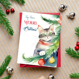 Vrolijke kerstgroeten voor kattenmensen briefkaart