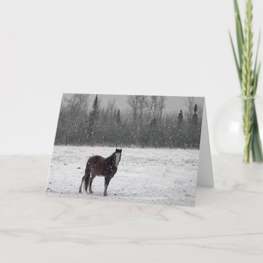 Vrolijke Kerstkaart Feestdagen Kaart (Voorkant)