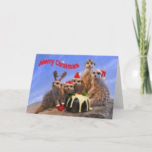 Vrolijke Kerstkaart Meerkats Feestdagen Kaart