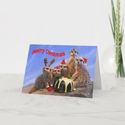 Vrolijke Kerstkaart Meerkats Feestdagen Kaart (Voorkant)