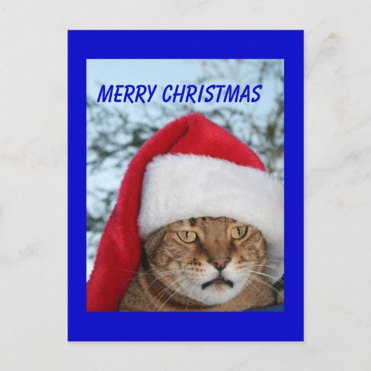 VROLIJKE KERSTKAT FEESTDAGENKAART (Voorkant)