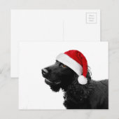 Vrolijke kerstkoker feestdagenkaart (Voorkant / Achterkant)