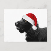 Vrolijke kerstkoker feestdagenkaart (Voorkant)